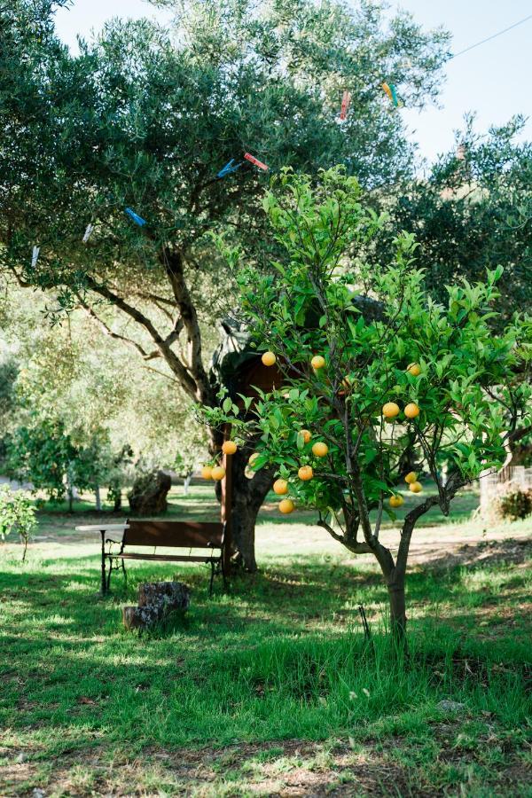 Villa Kallithea Парга Екстериор снимка