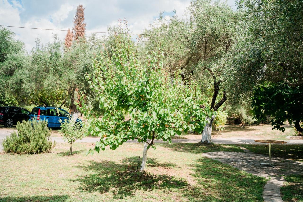 Villa Kallithea Парга Екстериор снимка